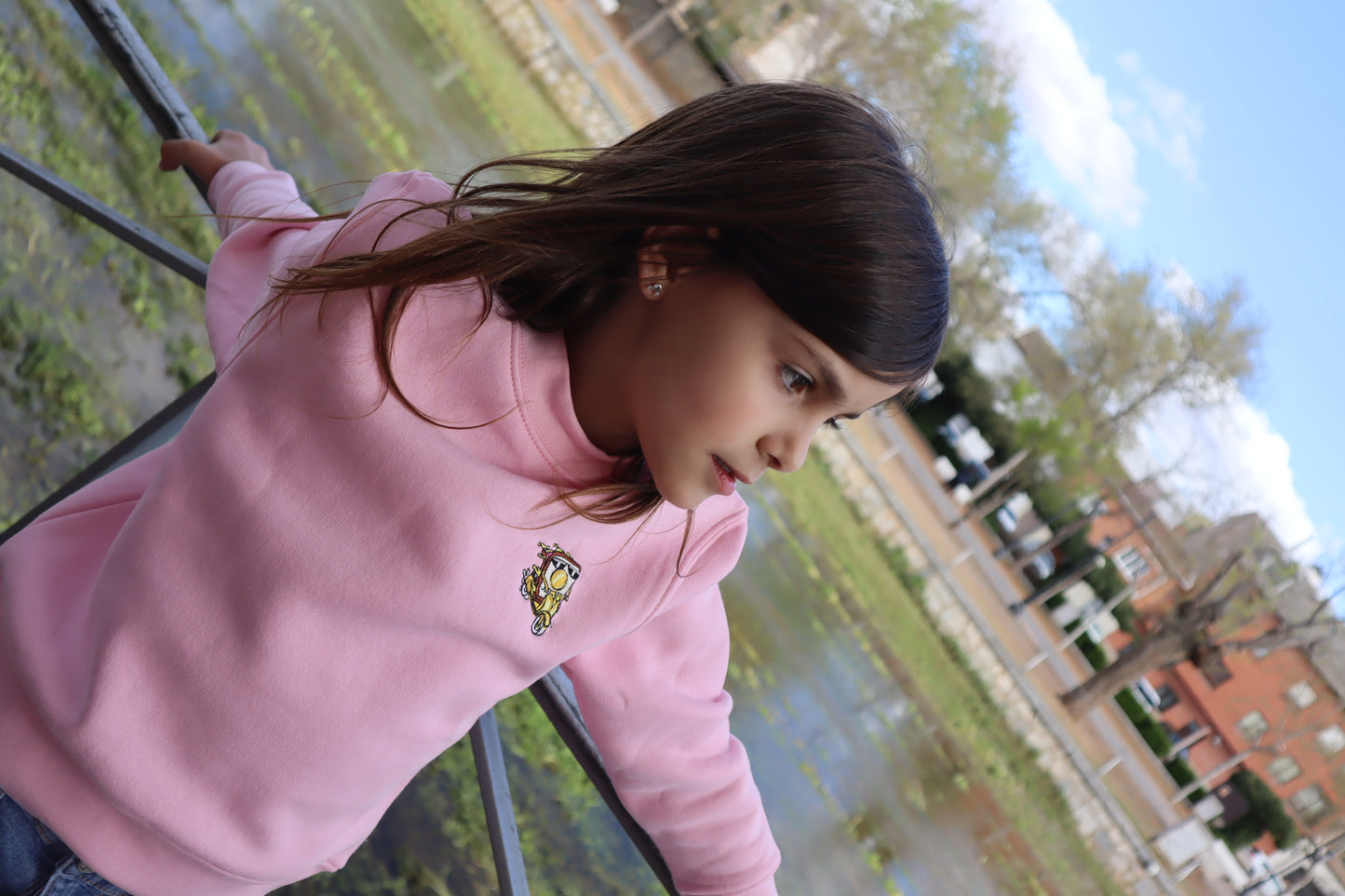 Sudadera Rosa