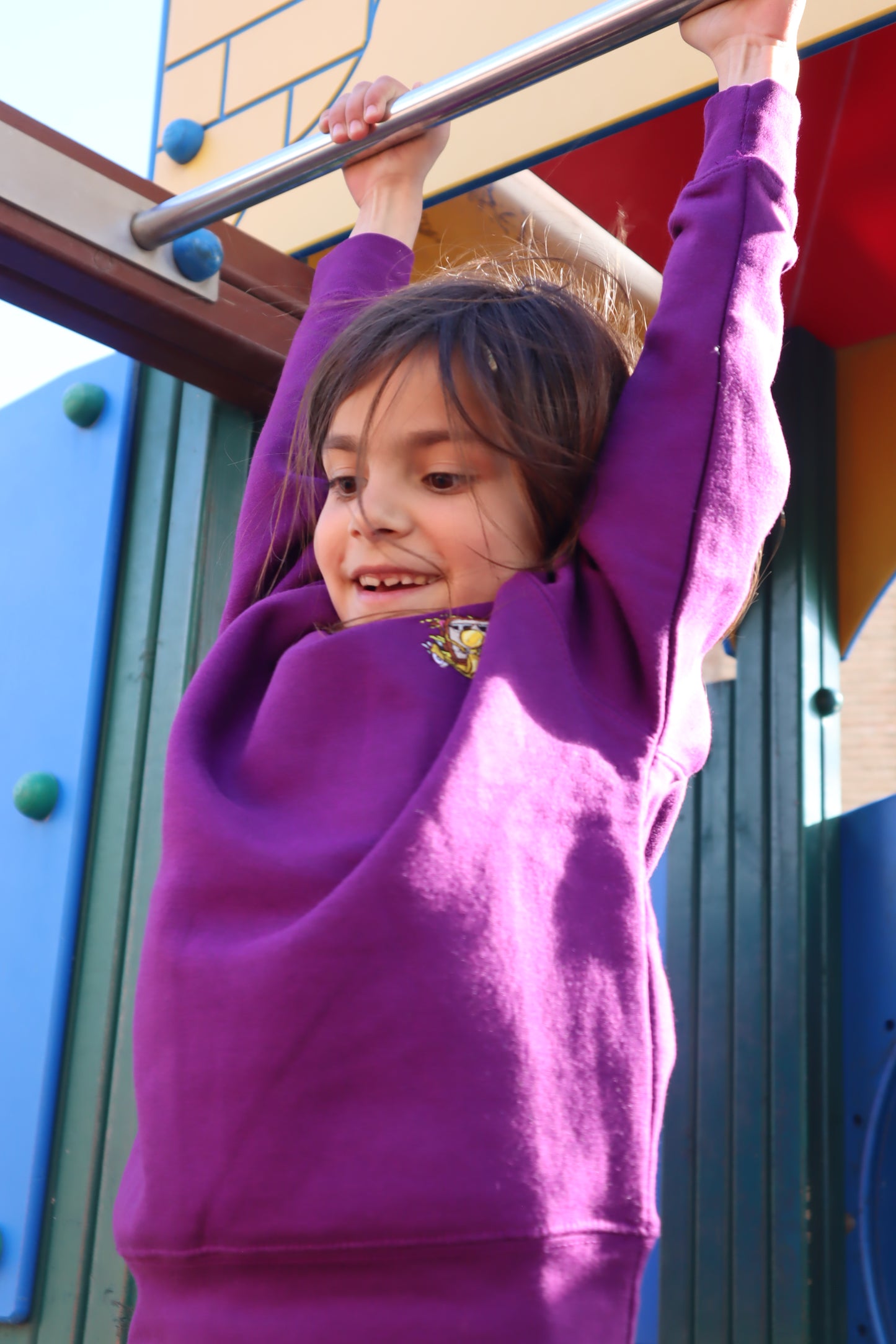 Sudadera morada