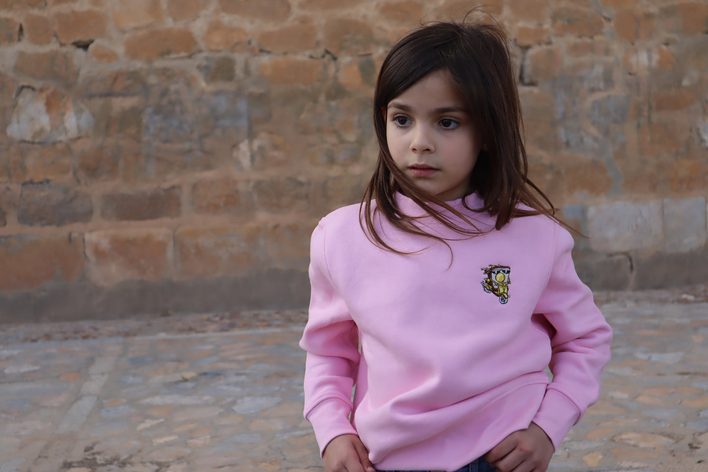 Sudadera Rosa